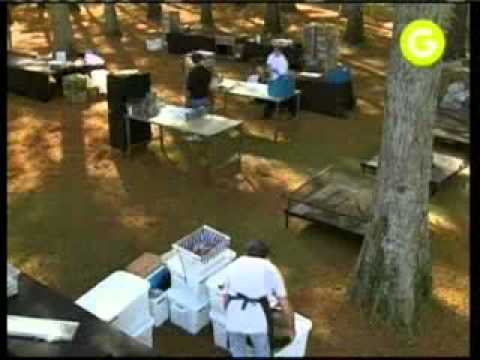 Los hermanos Petersen en el Delta - parte3