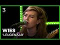 WIES speelt 'Leugenaar' | 3FM Live Box | NPO 3FM