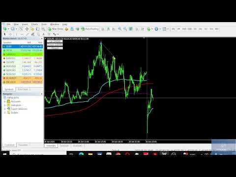 Video GANN Forecaster