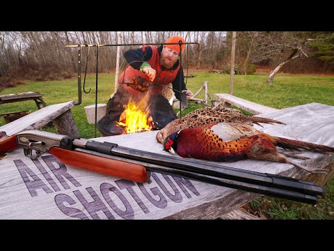 Catch & Cook Pheasant with the Double Barrel Air Shotgun (Seneca Double Shot .50 cal Air Rifle)