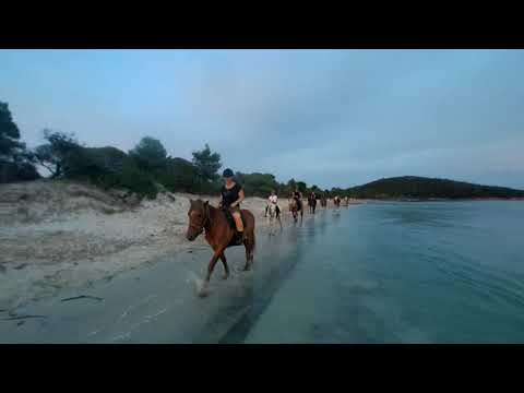 Balade 1h30 débutant 27/8/19 ranch villata