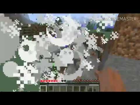 MINECRAFT : Best of Creeper Compilation