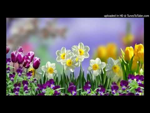 Snimka ptičice Mrkopalj