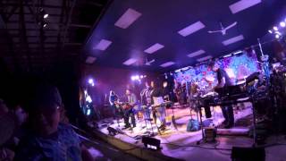 Mickey Hart Band-&quot;Who Stole the Show&quot;