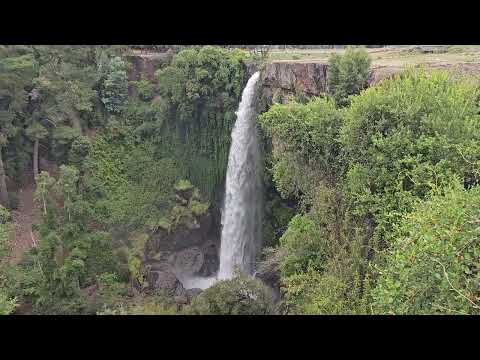 Salto Rehuén Mulchén Biobio #waterfall #naturelovers #Biobio #Chile
