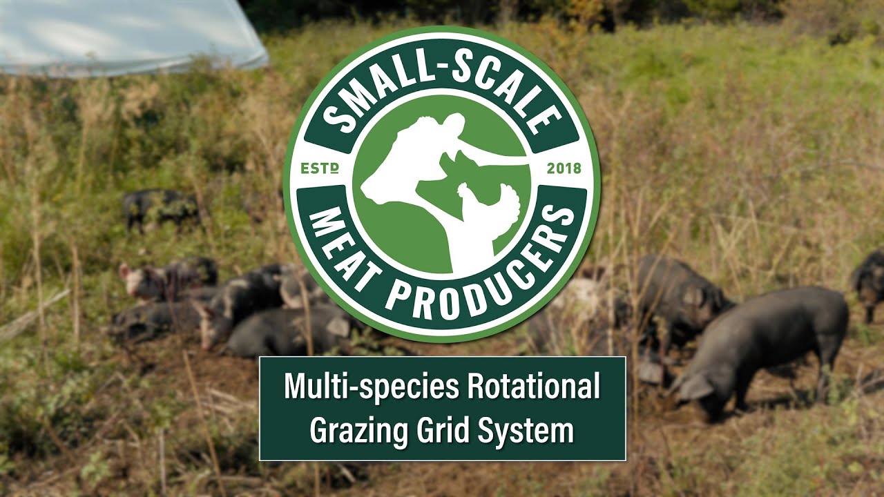 Multi-species Rotational Grazing Grid System