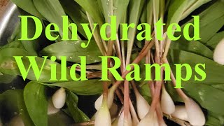 Dehydrating Wild Ramps without a Dehydrator
