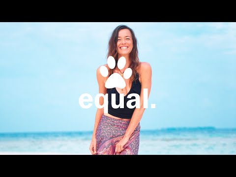 Fayna - Alive (Brad Rock Remix Extended Mix)