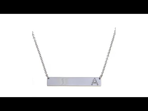 Stately Steel BarDrop Necklace with Crystal Initial