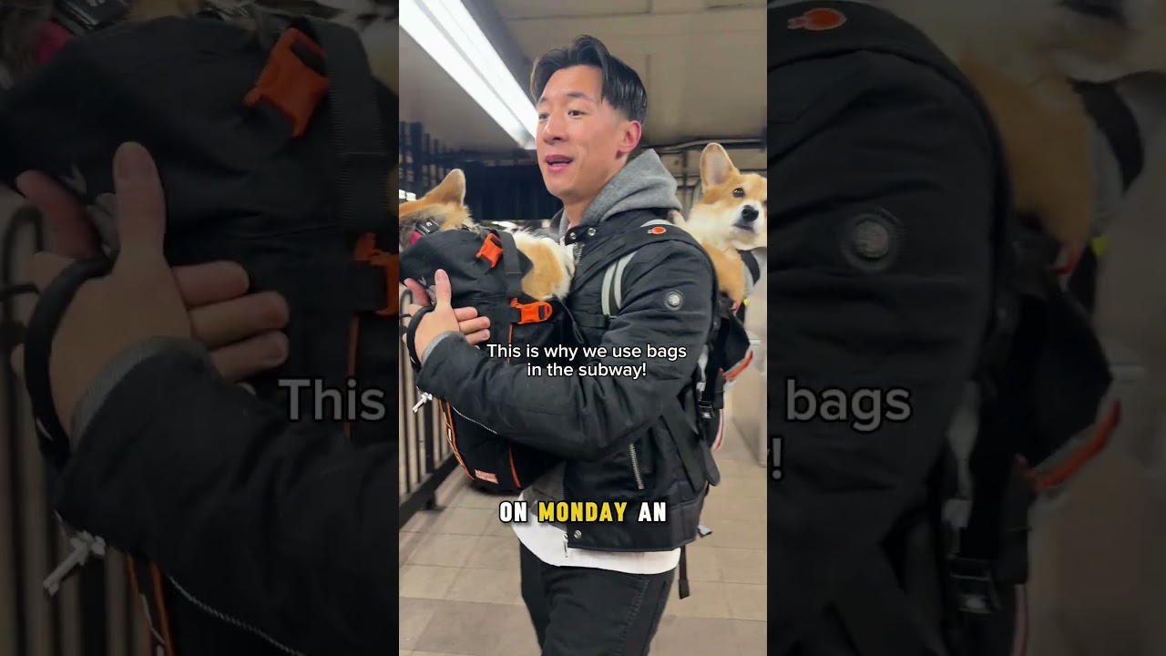 Double chonking in the subway!