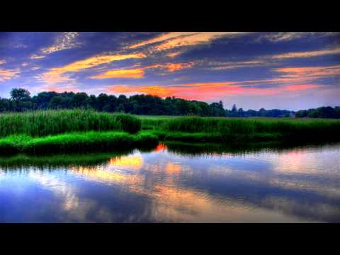 Andrzej Kurylewicz - Polskie Drogi