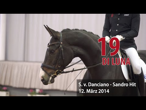 19 Di Luna Stute v. Danciano - Sandro Hit