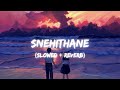 Snehithane Slowed Reverb Alaipayuthey Cover By Masala Coffee
