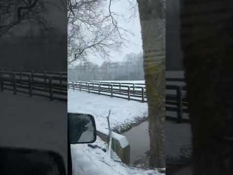 Primero de febrero 2021 en Lexington Kentucky