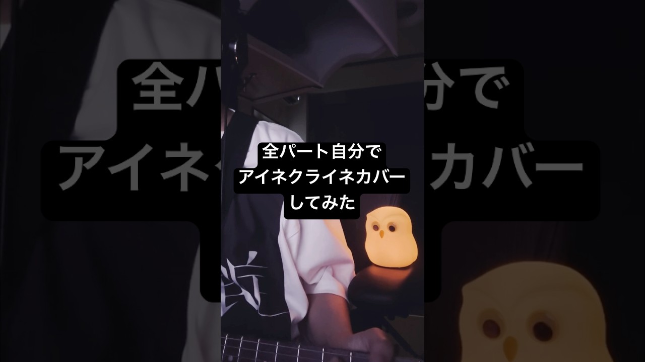 1人で全パート打ち込んだり弾いたりしたアイネクライネカバー #歌ってみた #ボカロp #cover