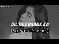 Dil Deewane Ka Dola Dildar Ke Liye Slowed Ñ Reverb
