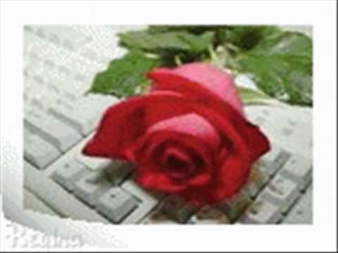 download lagu mp3 mp4 Fernando Farinha Amor De Mae, download lagu Fernando Farinha Amor De Mae gratis, unduh video klip Fernando Farinha Amor De Mae