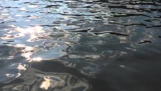 Lower - Nasty Business