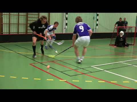 AXA Floorball cup 2018 Falun Västra - Vem D2