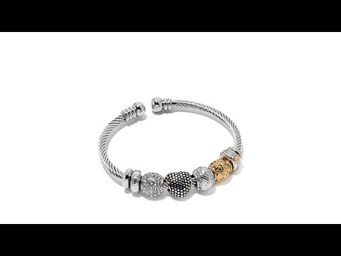 Emma Skye Jewelry Designs 6Charm Stainless Steel Bracelet