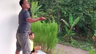 Download lagu LAYANGAN KECIL TENAGA BADAK BOS GIANT HAMPIR KEWALAHAN JURUS TERAKHIR SAMPE DI KELUARIN mp3