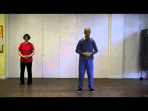 Ad de Koning's Tai Chi video - 2 sequences