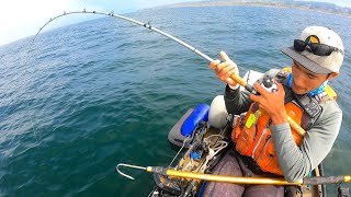 LIVE BAIT Fishing for BIG FISH with Big TEETH