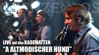 GRENZENLOS &amp; Band LIVE: "A Altmodischer Hund" (S.T.S. Cover)