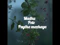 MADHU POLE PAYTHA MAZHAYE SONG LYRICS DEAR COMRADE VIJAY DEVERAKONDA SONG STATUS