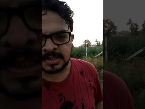 What is Supramental race ?