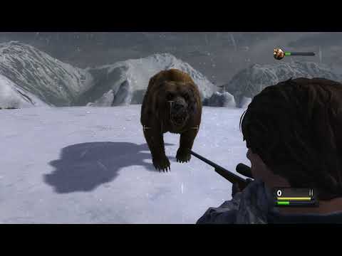 Cabelas Dangerous Hunts, 2013 bear