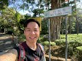 香港行山路線-梧桐寨