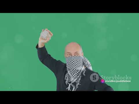 Anarchy Unleashed: A World Without Rules