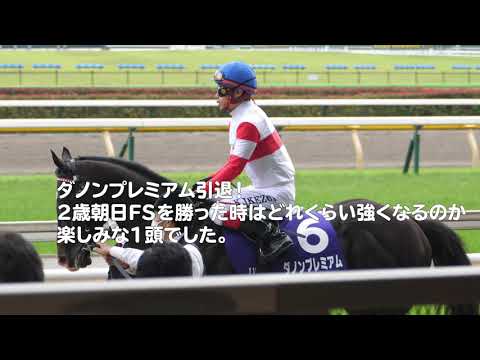 ダノンプレミアム引退！朝日杯FS他、重賞４勝！今後は種牡馬に🐴