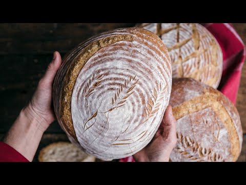 download lagu mp3 mp4 Bread Making Blogs, download lagu Bread Making Blogs gratis, unduh video klip Bread Making Blogs