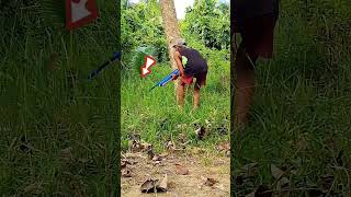 Download lagu Bird hunting using marble gun 🤙😎 #marblegun #birdhunting #buhayprobinsya #birdhuntingusingmarblegun mp3 Download lagu Bird hunting using marble gun 🤙😎 #marblegun #birdhunting #buhayprobinsya #birdhuntingusingmarblegun mp3