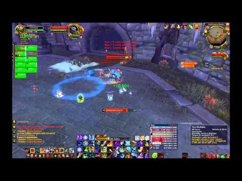 Unison raid P vs horridon 10 normal hunter Pov