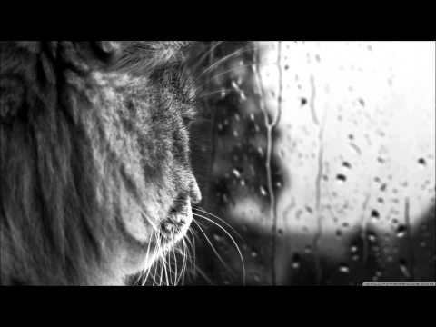 White Motion - Another Rainy Day (Original Mix)
