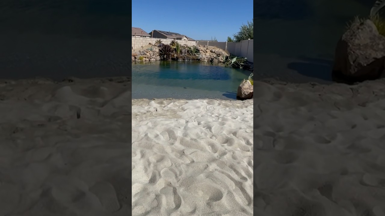 Build me a Beach in my Backyard ☀️ #landscapedesign #naturalpool #swimmingpool