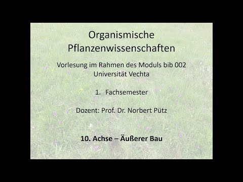 , title : 'bib002_10-Achse äußerer Bau'