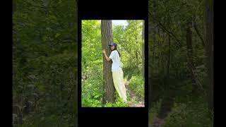 🇨🇦初夏のダンダスにある滝を観にいく/ブルース・トレイル、ハイキングコース/Dyment Falls in Dundas, ON/Bruce Trail/Dyment’s Burgers🍔