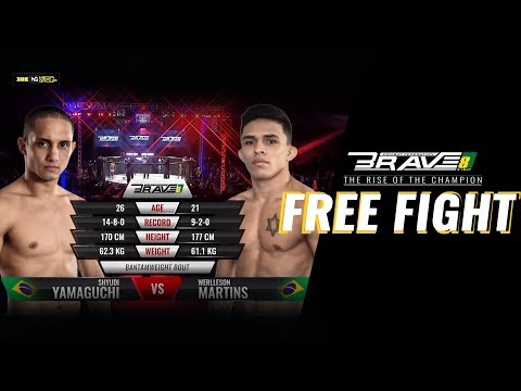 Shyudi Yamauchi vs Werlleson Martins full fight