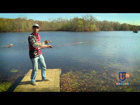 How to Set a Hook - Bass Fishing Tips for Beginners