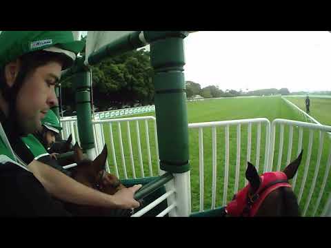 Jockey Cam - Redzel 2018 The TAB Everest