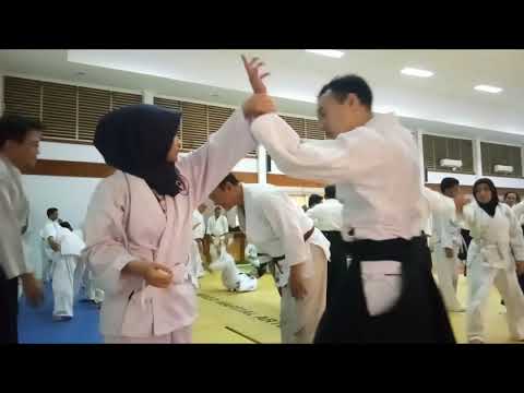International Aikido Seminar 2018 with Makoto Ito Shihan - Session 2