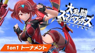 【スマブラSP】安定の使いやすさ【ホムラヒカリ/全キャラVIP】