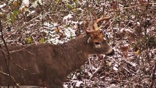 Archery Deer Season 2014 - John