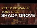 Peter Rowan & Tony Rice - Shady Grove (Official Audio)