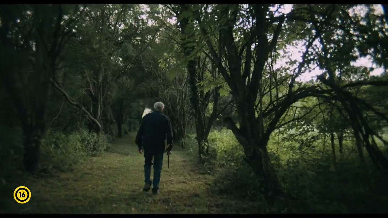 Saját erdő előzetes (16)