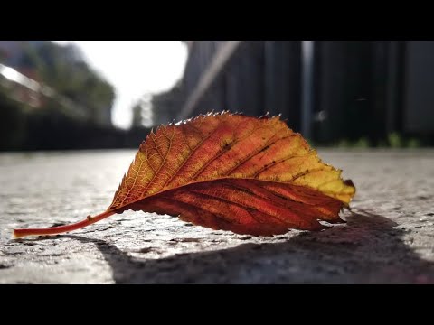 İbrahim Suat Erbay- Nihavend İlahiler (Potpori)